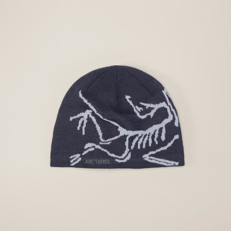 Arc'teryx Bird Head Toque – Campers' Corner