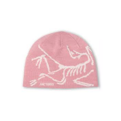Arc'teryx Bird Head Toque