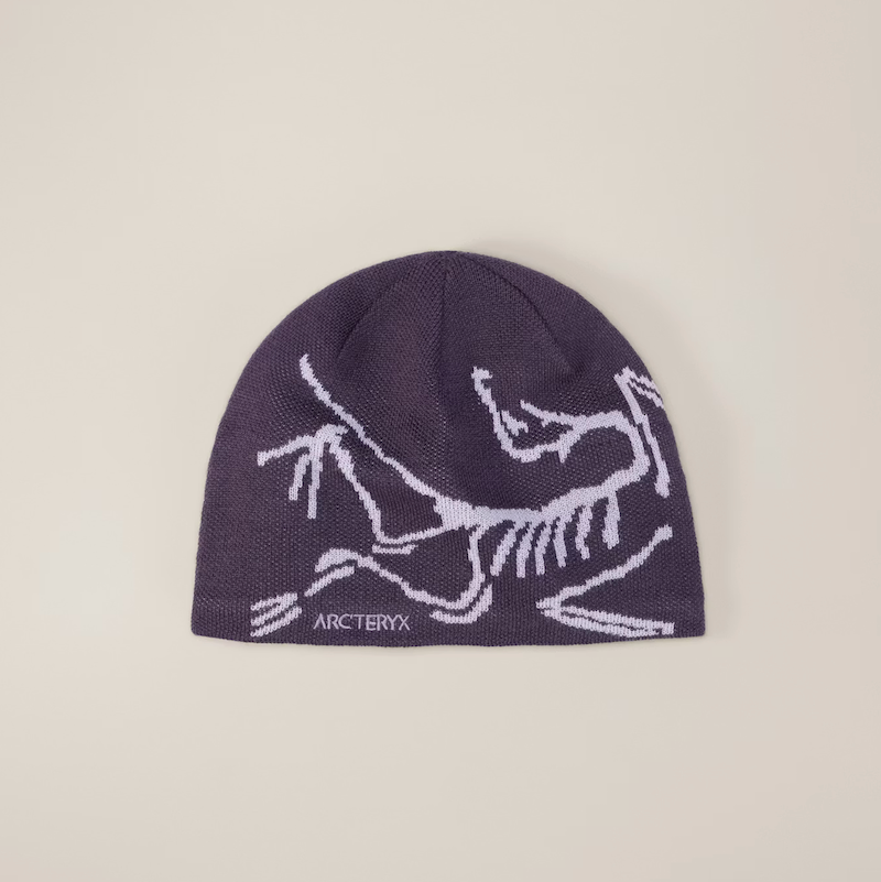 Arc'teryx Bird Head Toque – Campers' Corner
