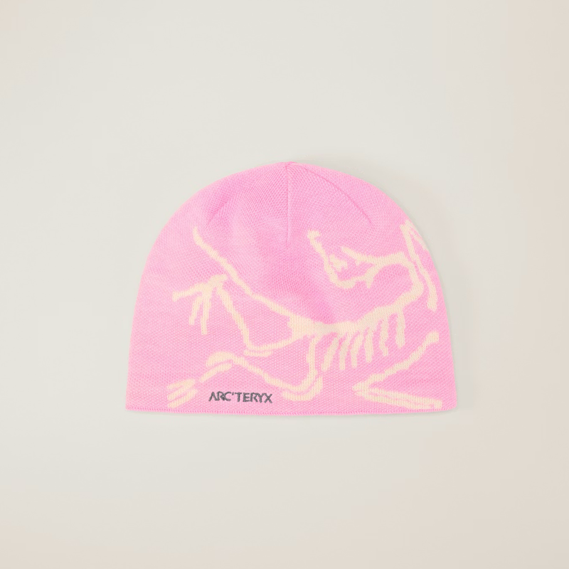 Arc'teryx Bird Head Toque – Campers' Corner