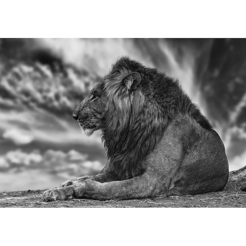 African Aura by Peter Lik