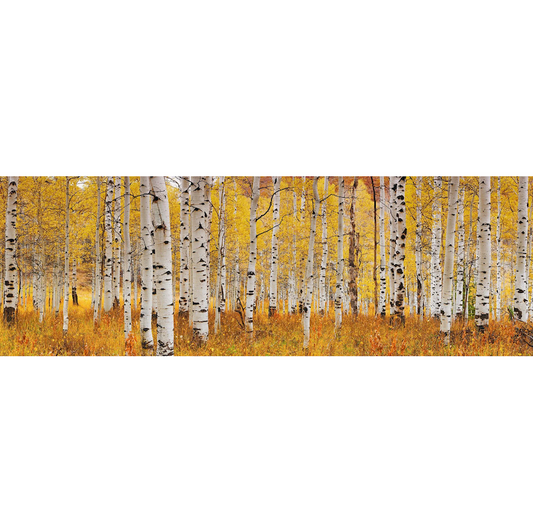 Aspen Glow by Peter Lik