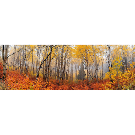 Autumn Mist by Peter Lik